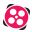 custom_website